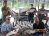 (06/20/2017) - Nice Striped Bass